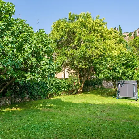 Veronauptoyou Verona