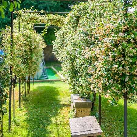 Veronauptoyou Apartmán Verona